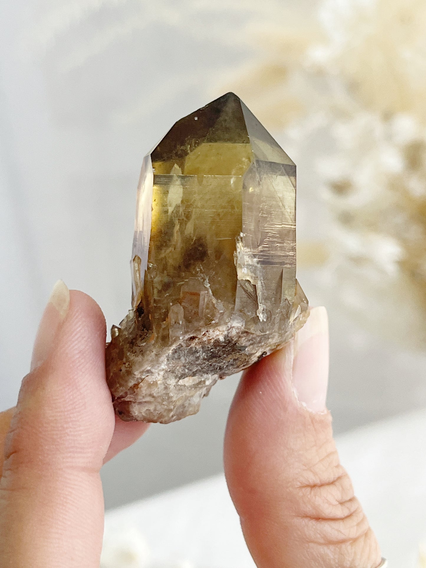 NATURAL CITRINE POINT || 31571