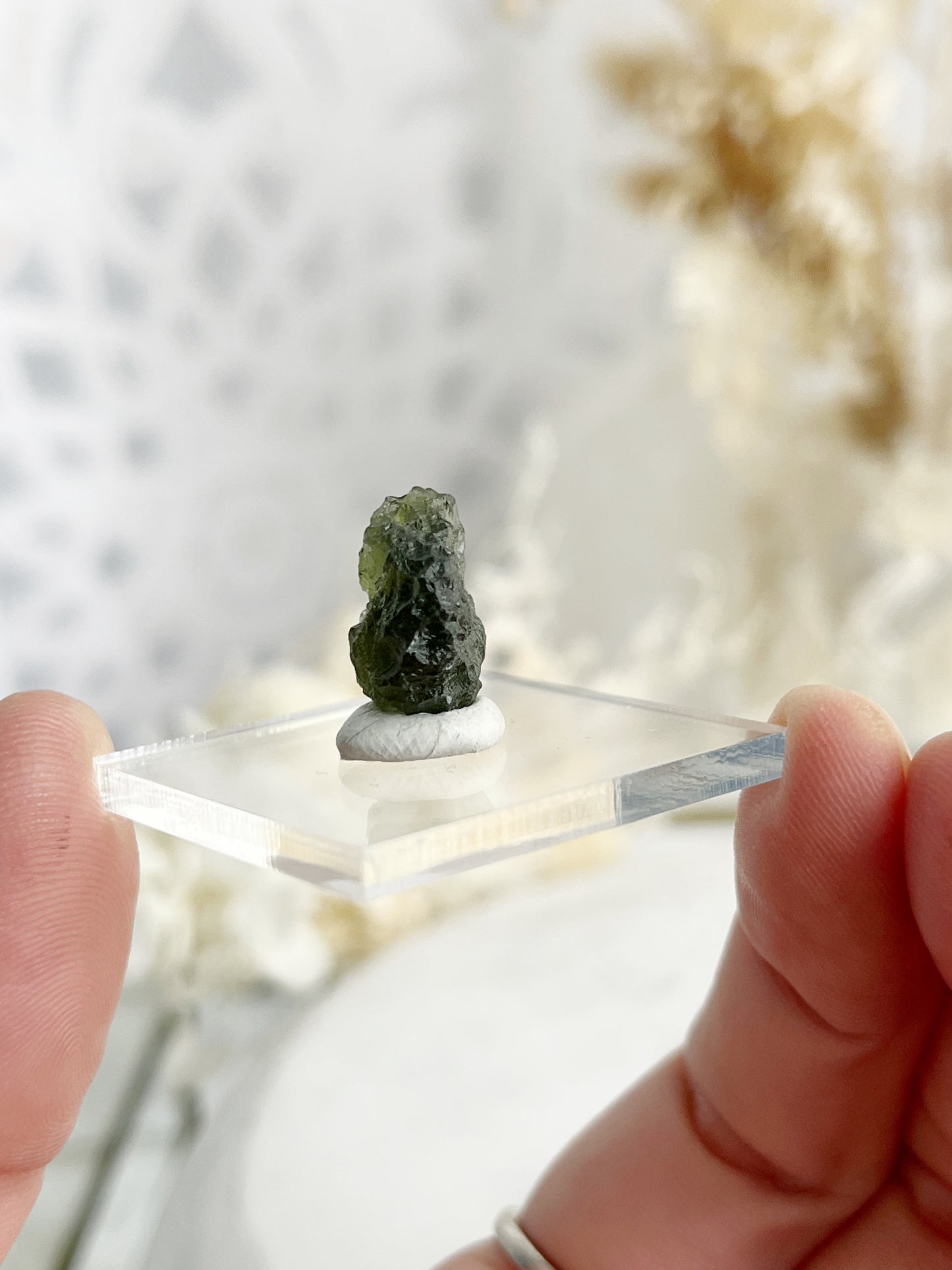 MOLDAVITE SPECIMEN || 30095