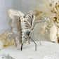 FLOWER AGATE BUTTERFLY || 31790