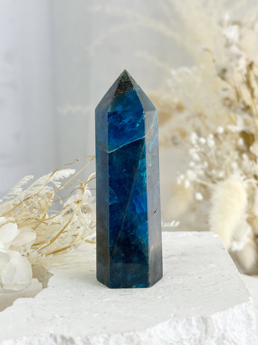 APATITE CRYSTAL GENERATOR TOWER POINT AUSTRALIA STONED AND SAGED