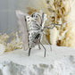 ROSE QUARTZ BUTTERFLY || 31784