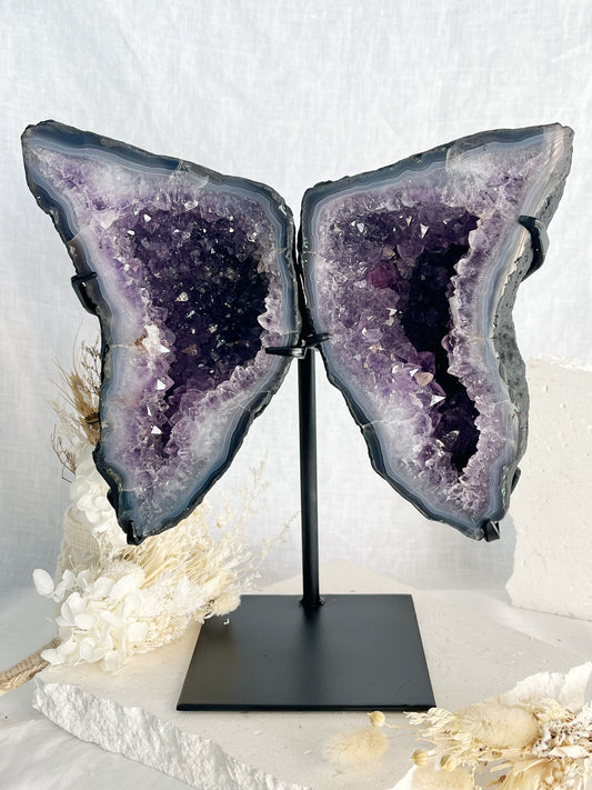 AMETHYST CLUSTER WINGS ON STAND, STONED + SAGED AUSTRALIA