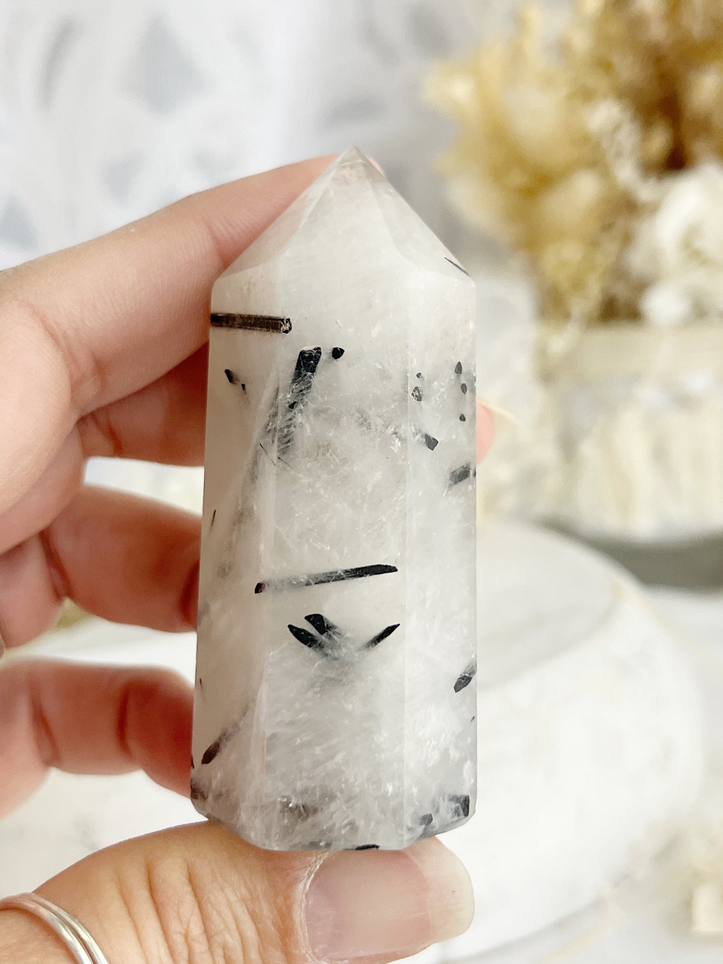 TOURMALINATED QUARTZ GENERATOR || 30524