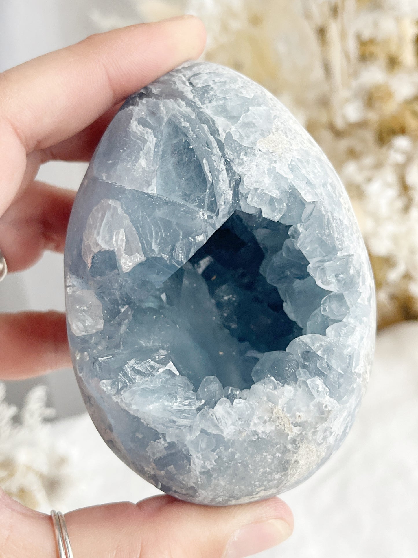 CELESTITE CLUSTER EGG || 31509