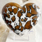 BROWN BRECCIATED JASPER HEART || 31541