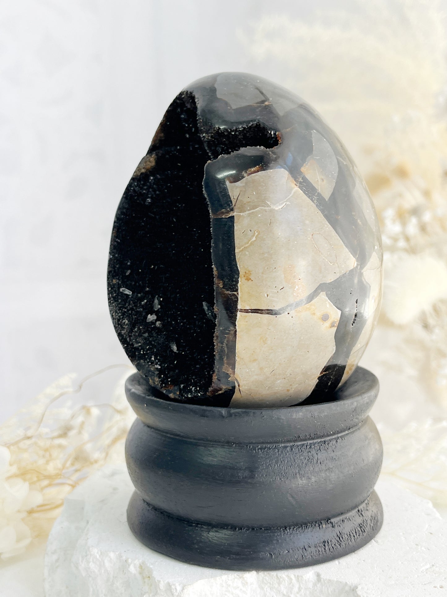 SEPTARIAN DRAGON EGG || 31628