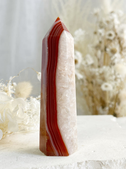 CARNELIAN GENERATOR || 31404