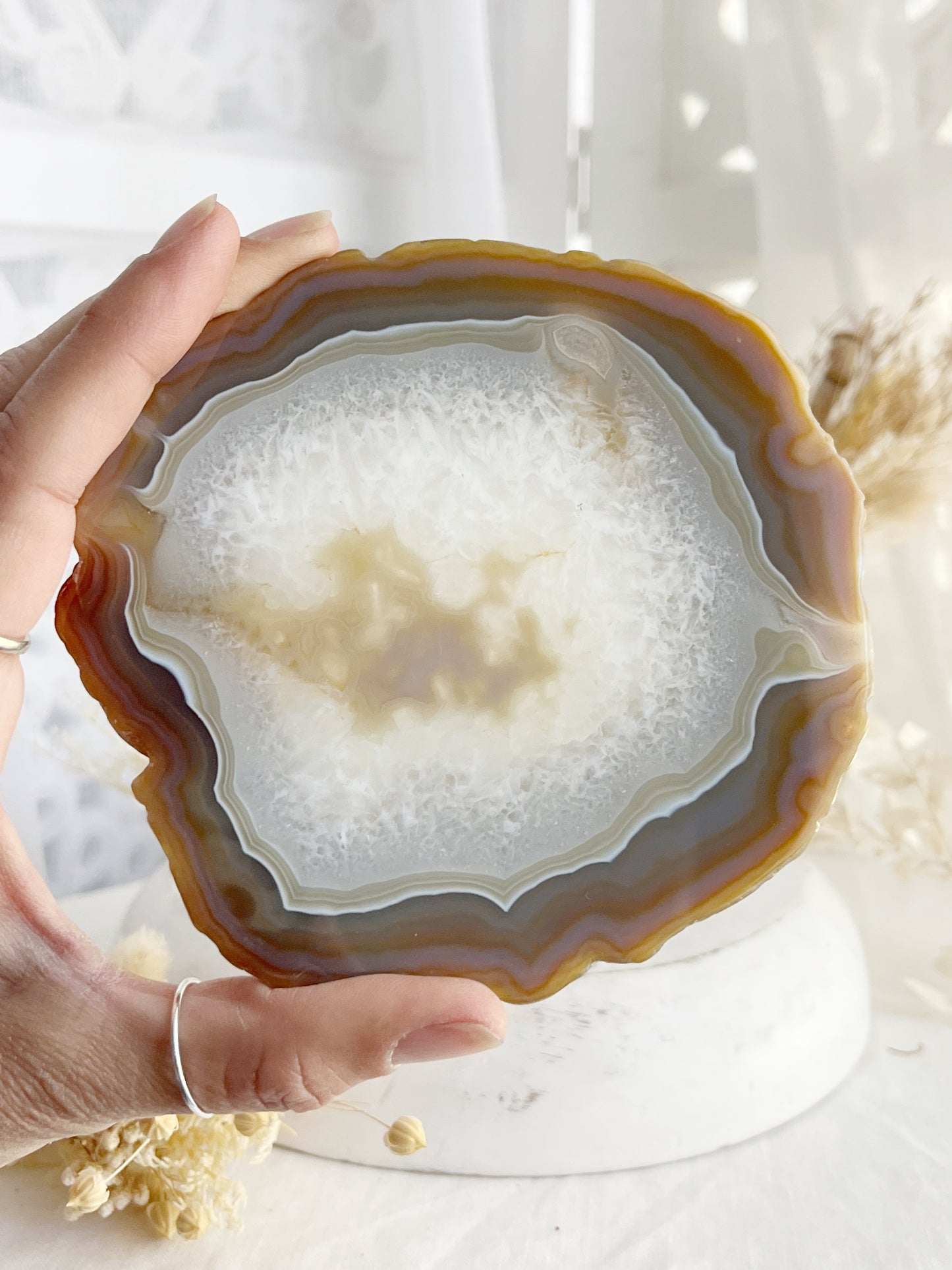 AGATE SLICE || 30431