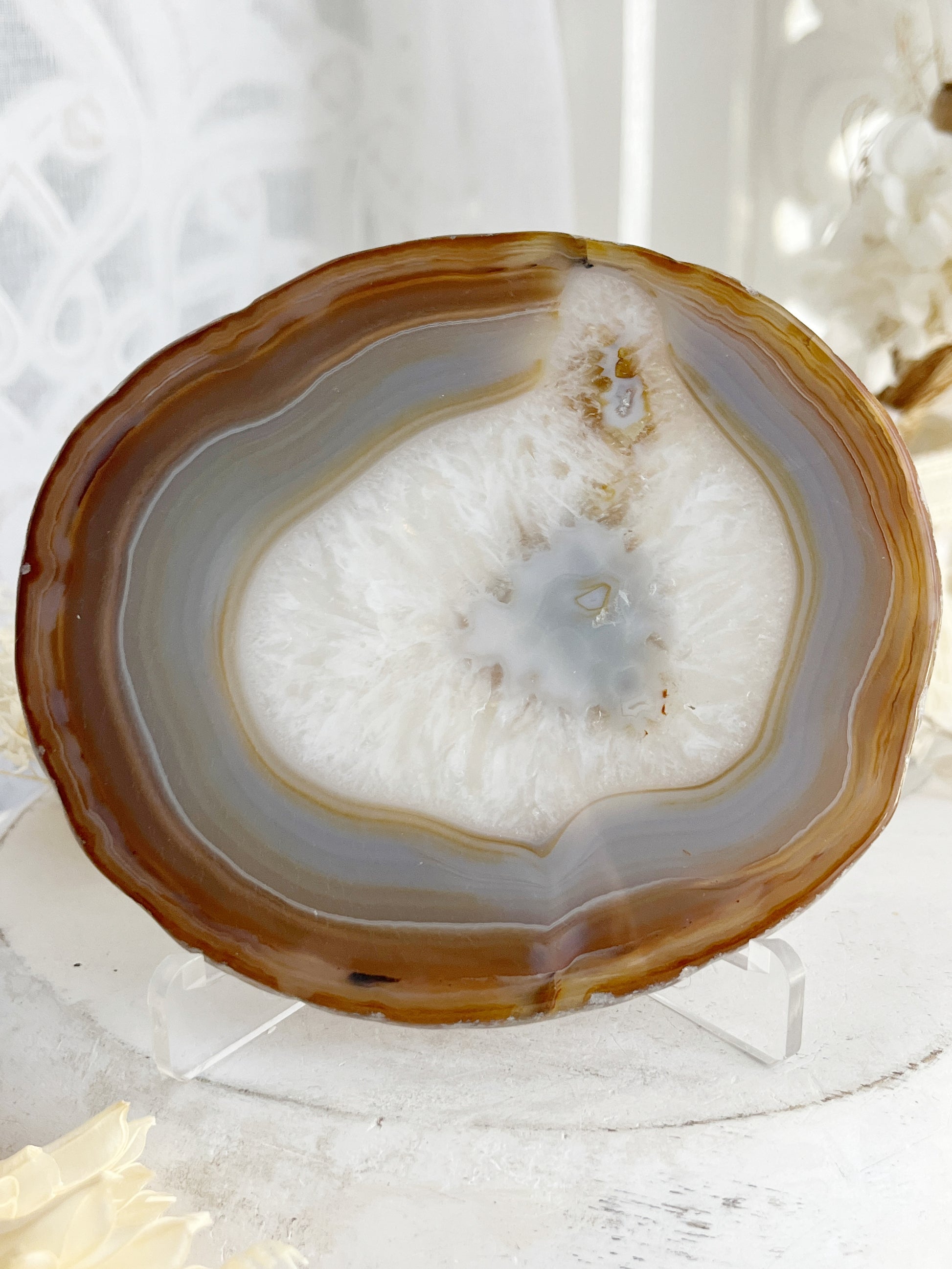 AGATE SLICE STONED AND SAGED AUSTRALIA