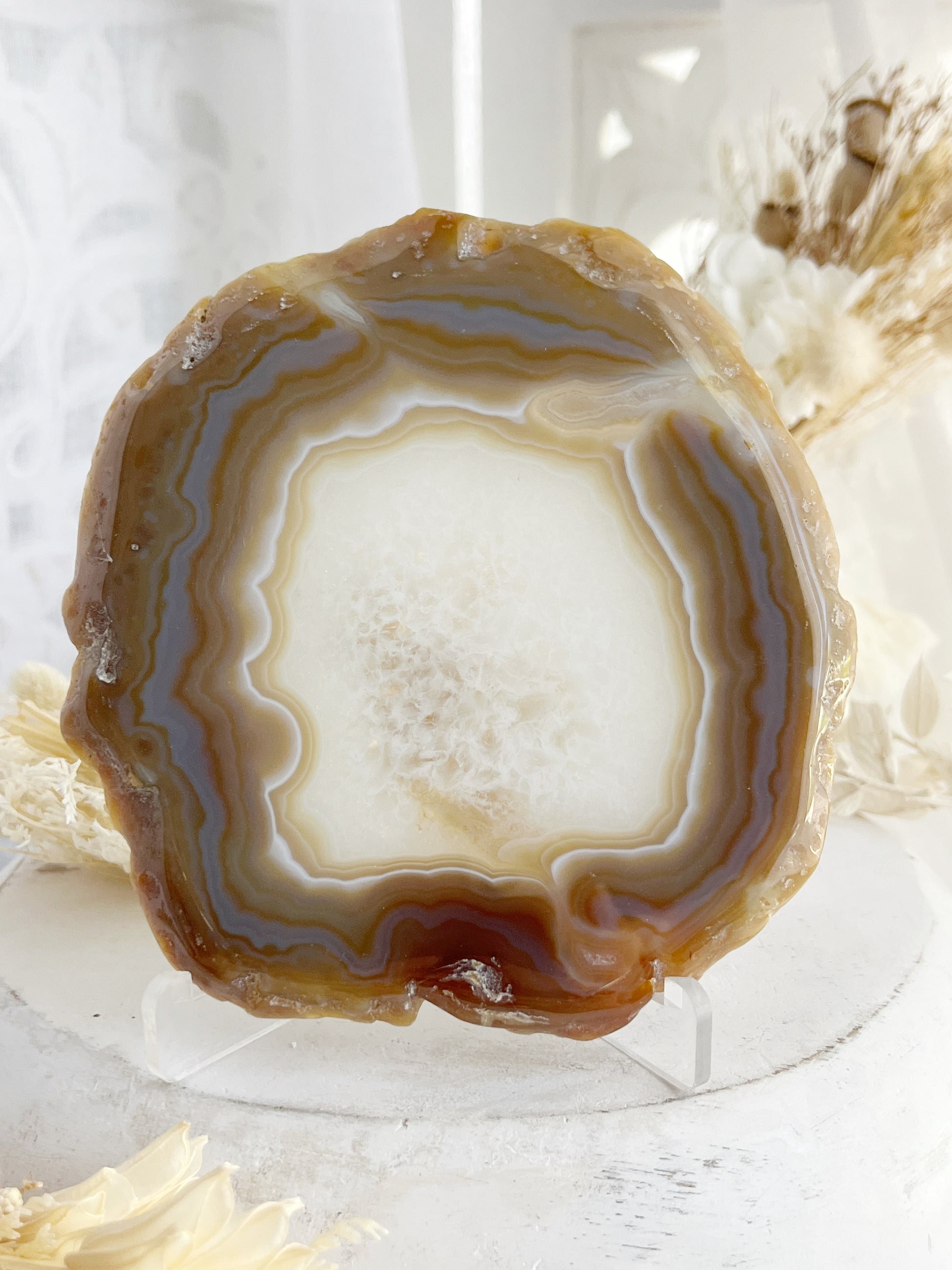 AGATE SLICE STONED AND SAGED AUSTRALIA