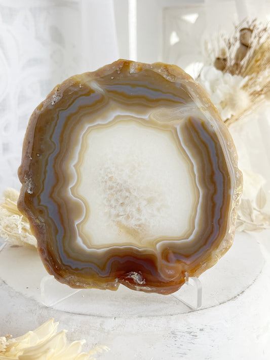 AGATE SLICE STONED AND SAGED AUSTRALIA