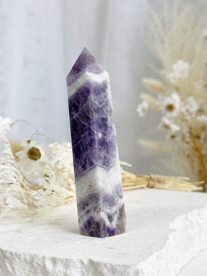 DREAM AMETHYST GENERATOR || 31366