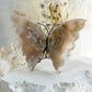 FLOWER AGATE CRYSTAL BUTTERFLY AUSTRALIA SELF GROWTH TRANSFORMATION LOVE HEALING STONED AND SAGED