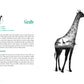 ANIMAL SYMBOLISM || AURORE PRAMIL