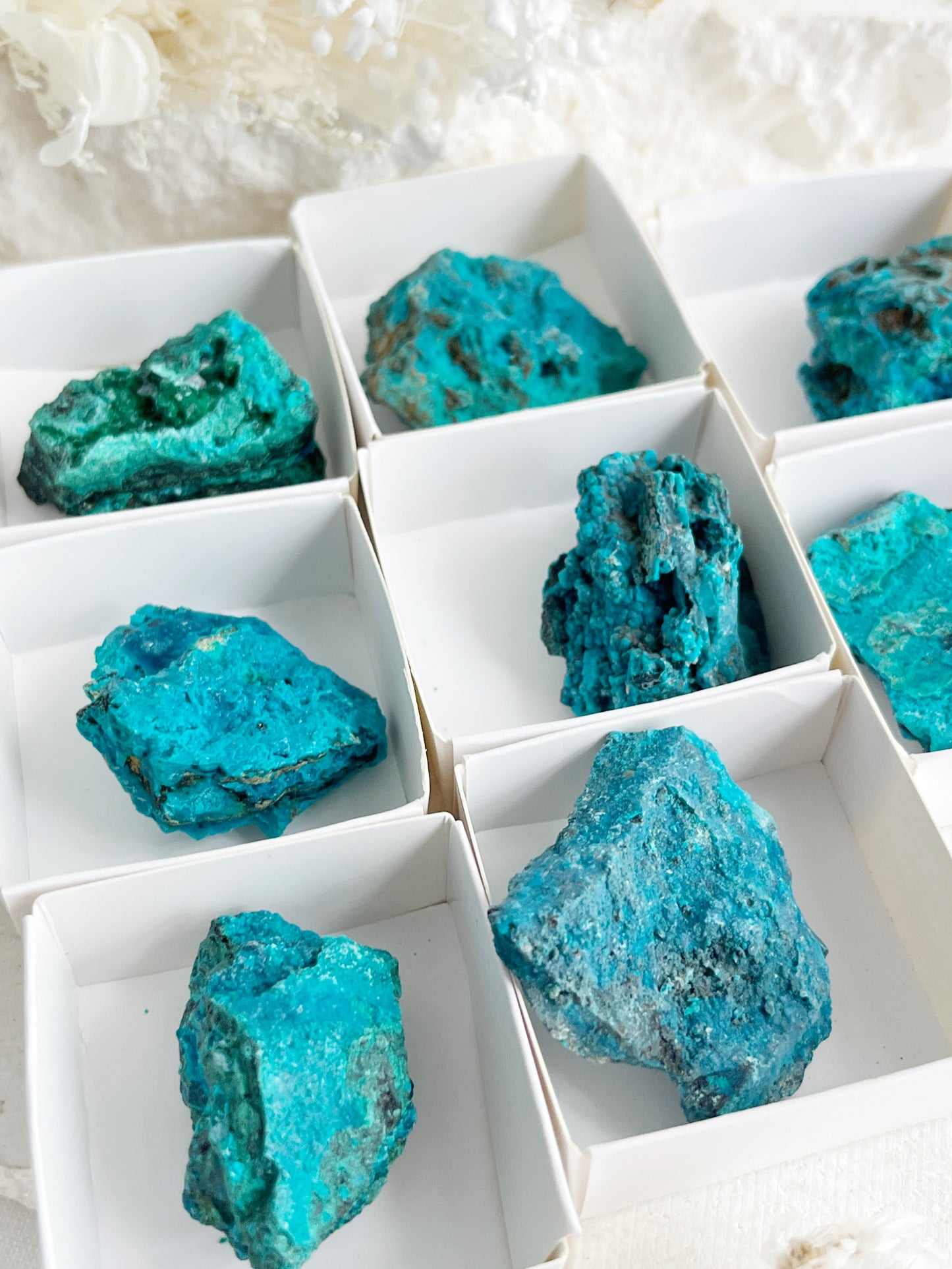 PERUVIAN CHRYSOCOLLA SPECIMEN || INTUITIVELY CHOSEN