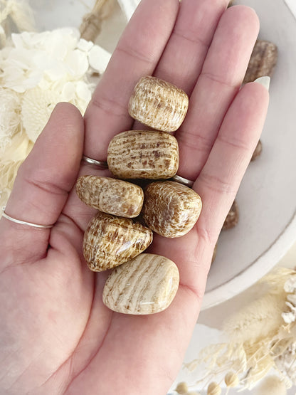 BROWN ARAGONITE TUMBLE