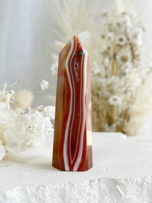 CARNELIAN GENERATOR || 31409