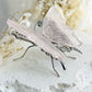 ROSE QUARTZ BUTTERFLY || 31784