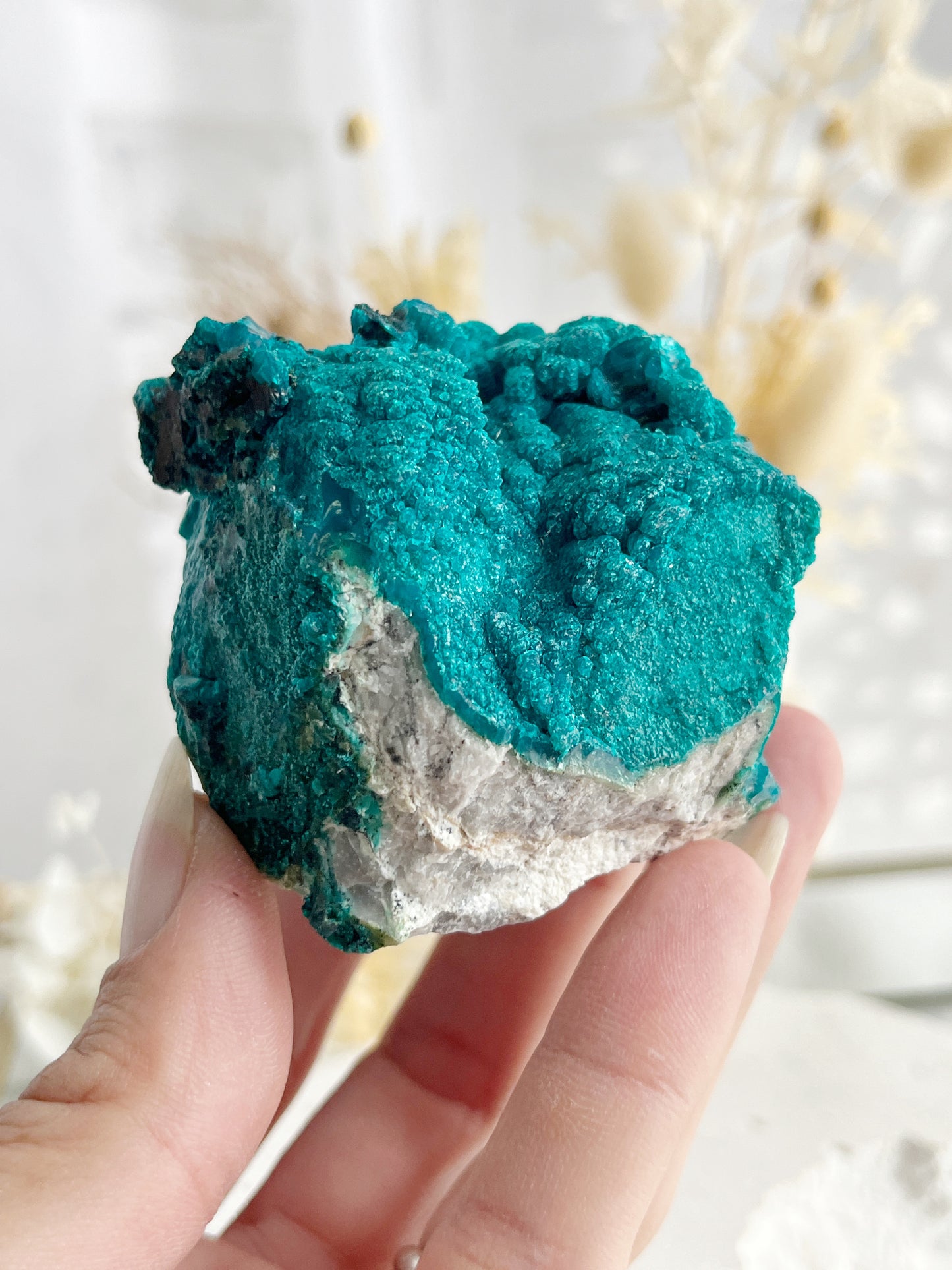 PERUVIAN CHRYSOCOLLA SPECIMEN || 20906