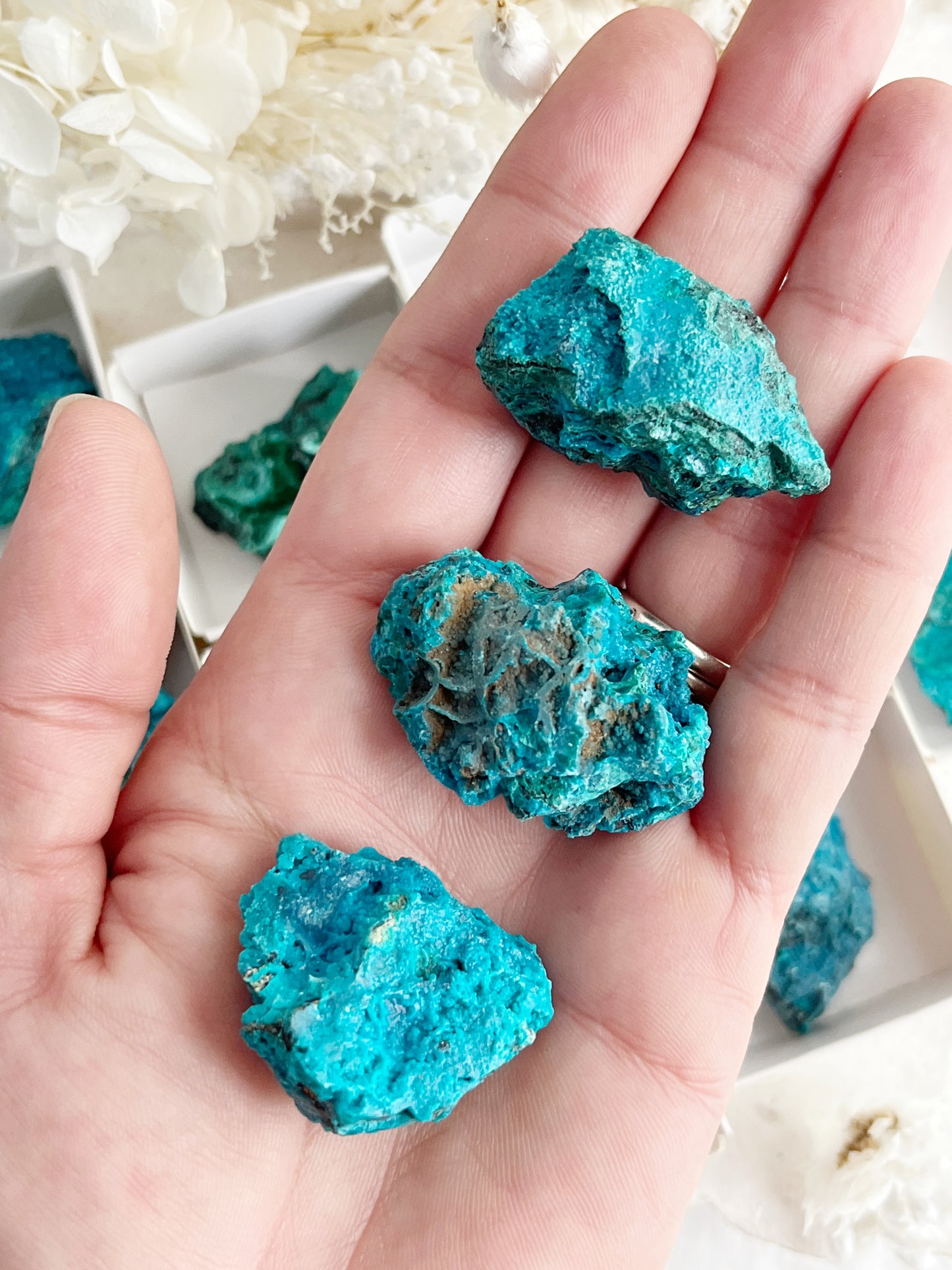 PERUVIAN CHRYSOCOLLA SPECIMEN || INTUITIVELY CHOSEN