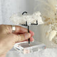 ACRYLIC + METAL SPECIMEN STAND