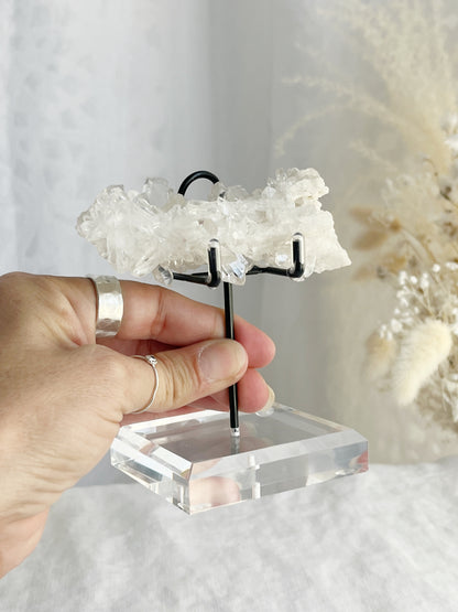 ACRYLIC + METAL SPECIMEN STAND