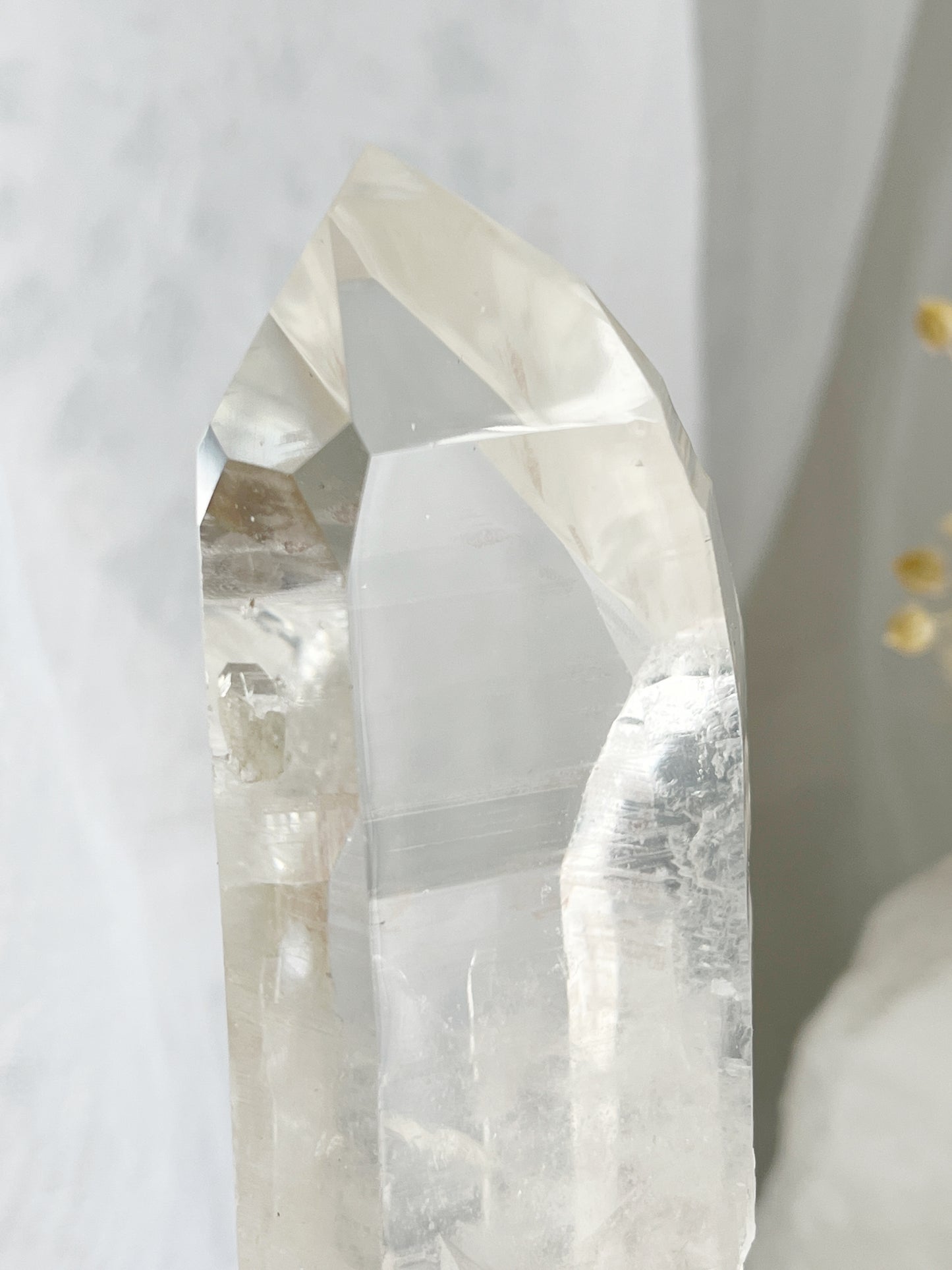 LEMURIAN QUARTZ POINT ON STAND || 30673