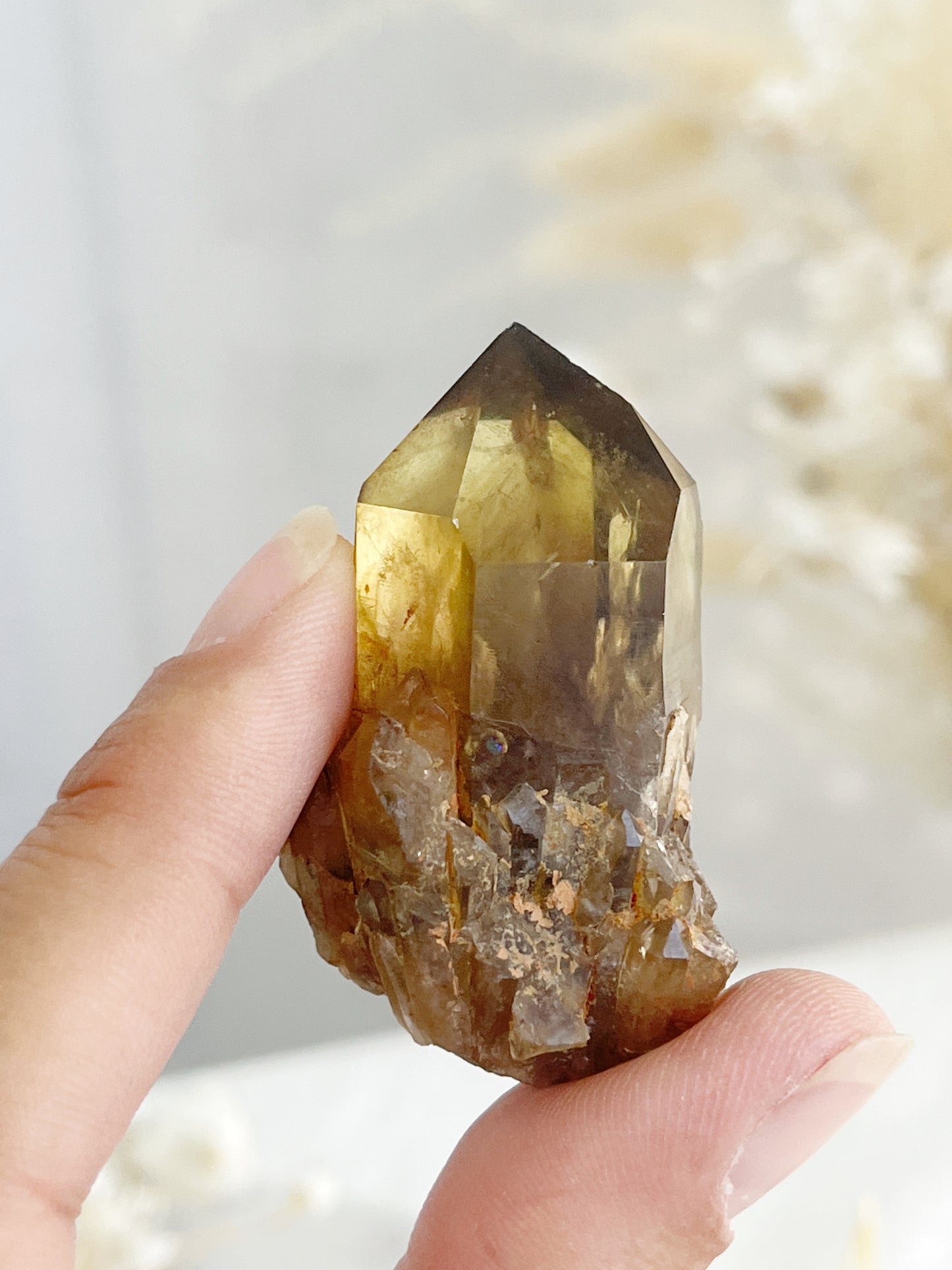 NATURAL CITRINE POINT || 31571