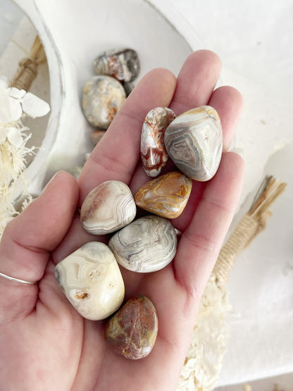 CRAZY LACE AGATE TUMBLE