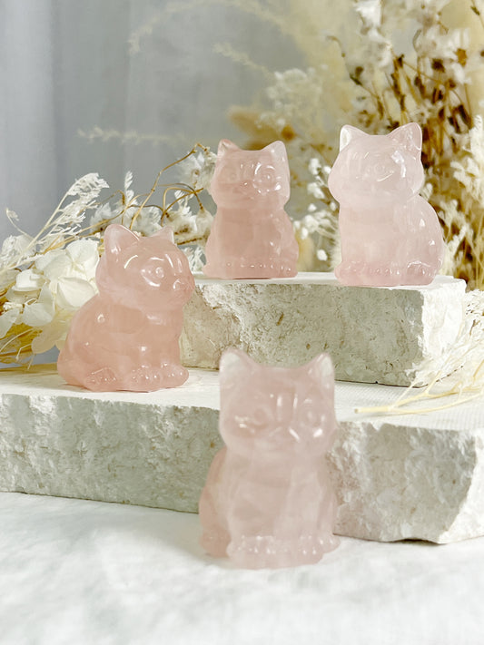 ROSE QUARTZ CRYSTAL CAT AUSTRALIA SELF LOVE LOVE COMPASSION STONED AND SAGED 