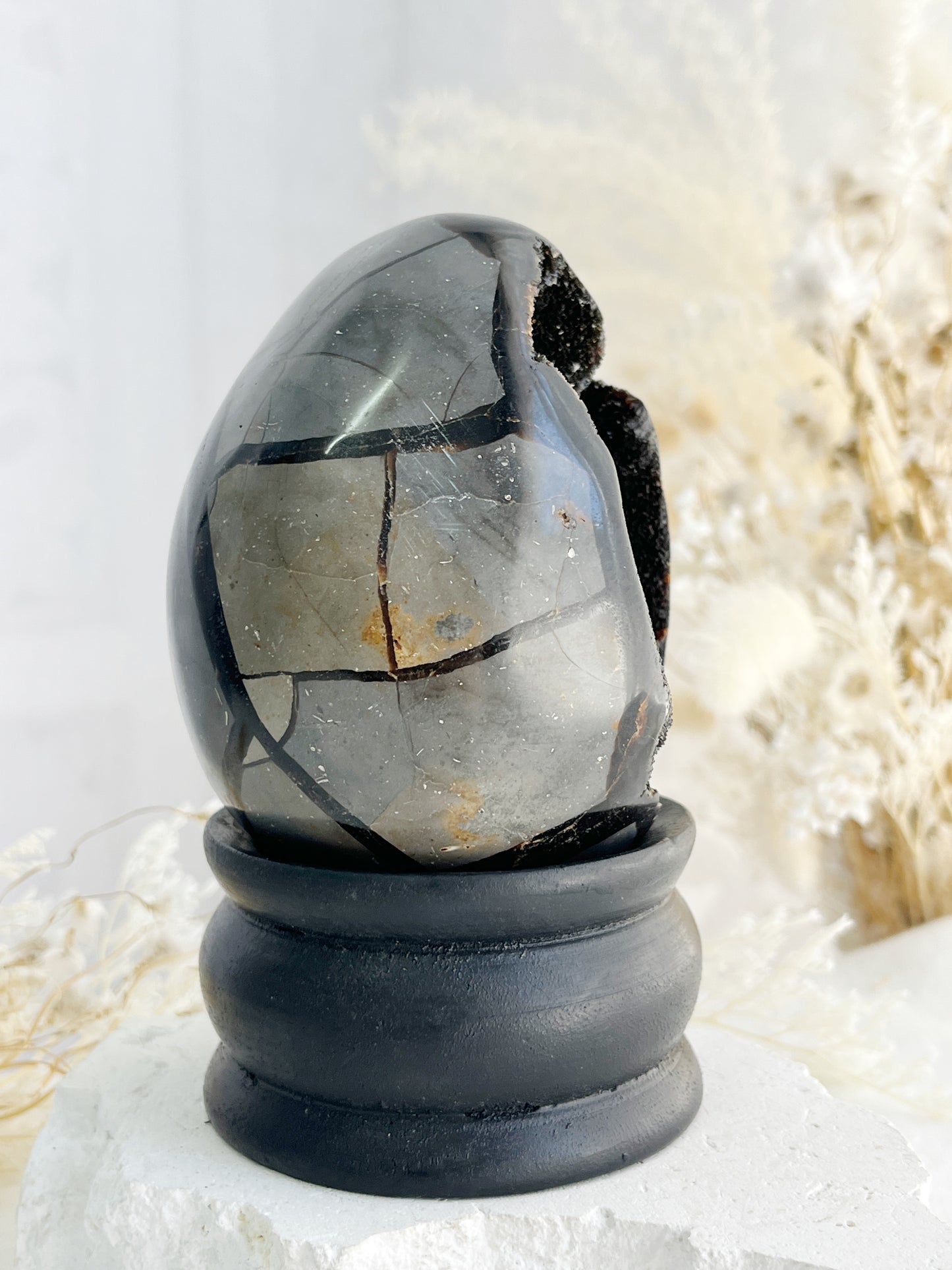 SEPTARIAN DRAGON EGG || 31628