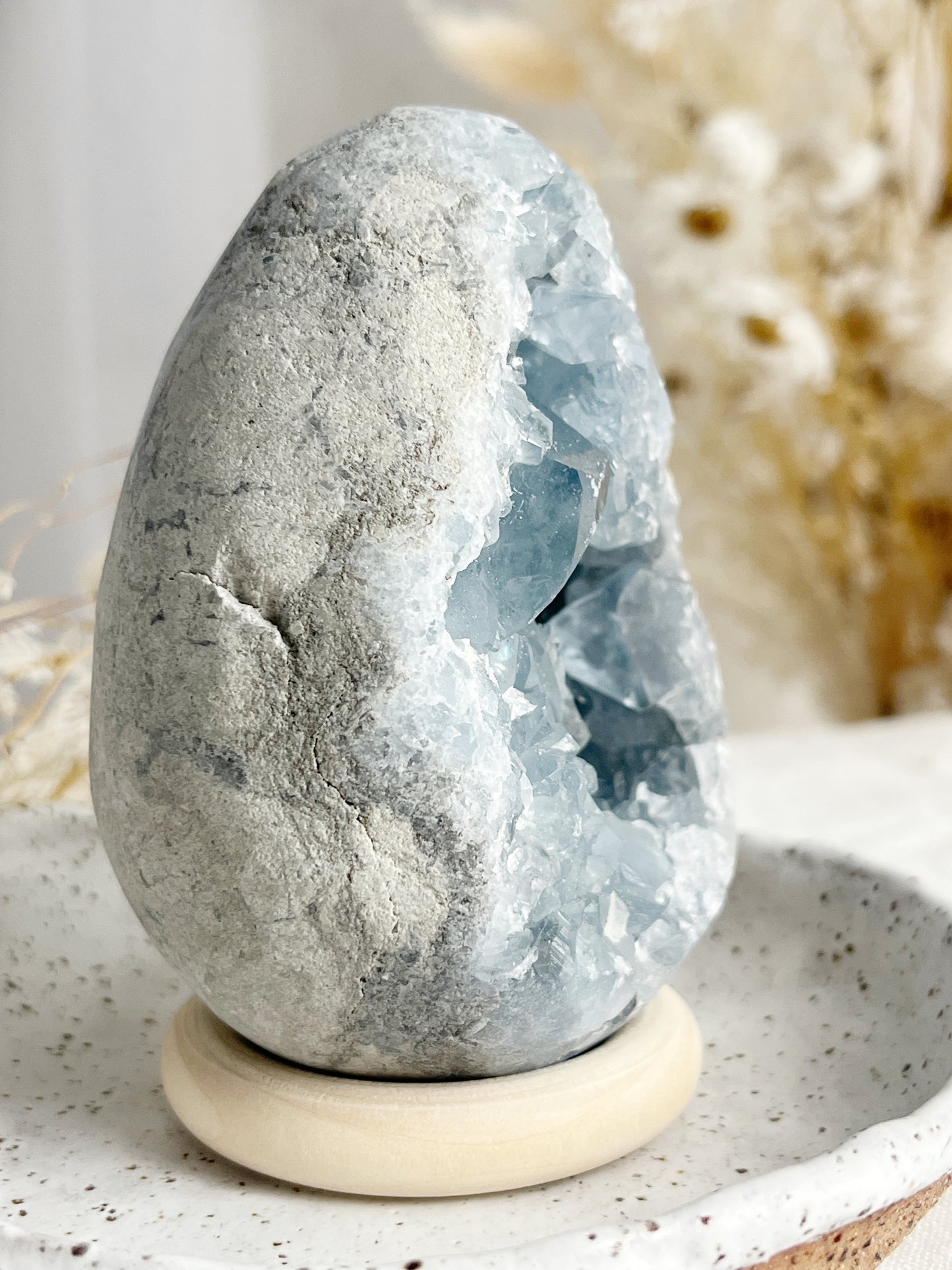 CELESTITE CLUSTER EGG || 31508