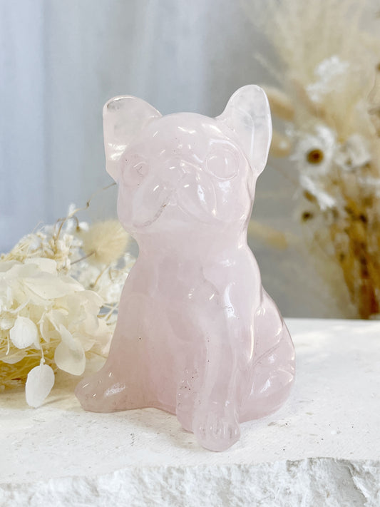 ROSE QUARTZ FRENCHIE || 31448