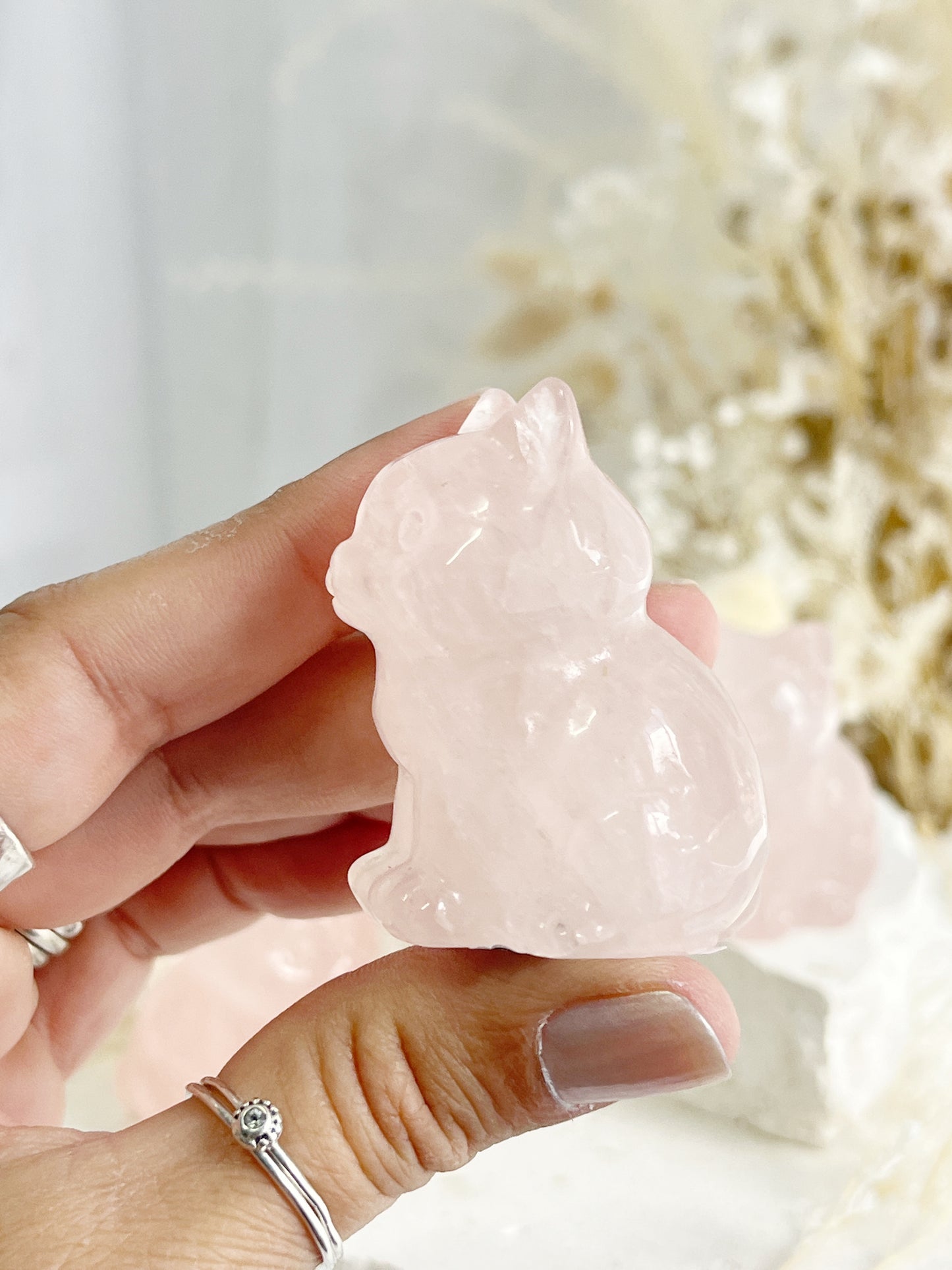 ROSE QUARTZ CAT || 31744