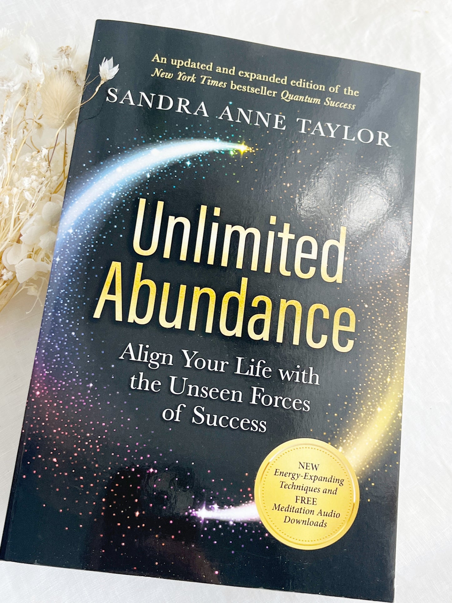 UNLIMITED ABUNDANCE  || SANDRA ANNE TAYLOR