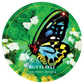 CREATURE TEACHER ORACLE || FOR KIDS