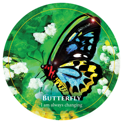 CREATURE TEACHER ORACLE || FOR KIDS