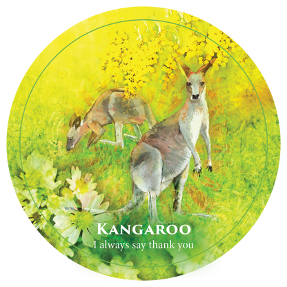 CREATURE TEACHER ORACLE || FOR KIDS