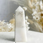 SCOLECITE TOWER || 30130