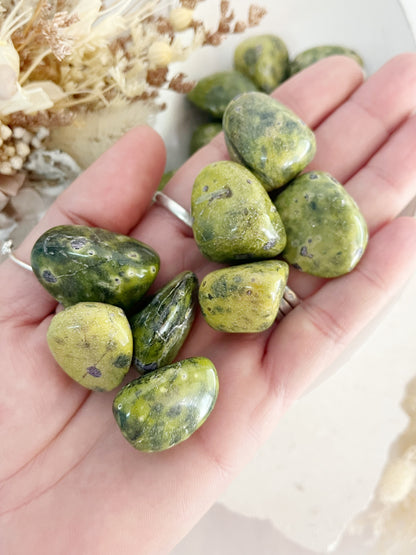 SERPENTINE STICHTITE || ATLANTISITE TUMBLE