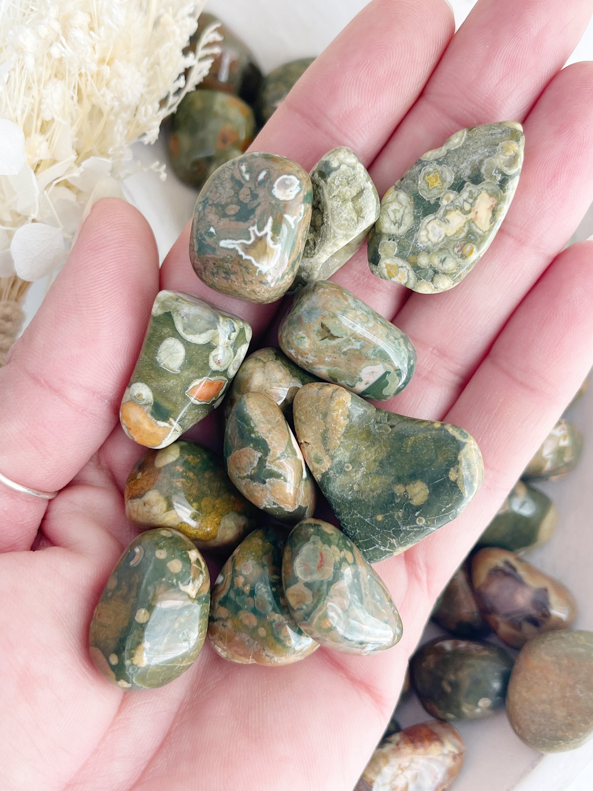 Rhyolite, rainforest jasper Tumble stone, Crystal shop Australia