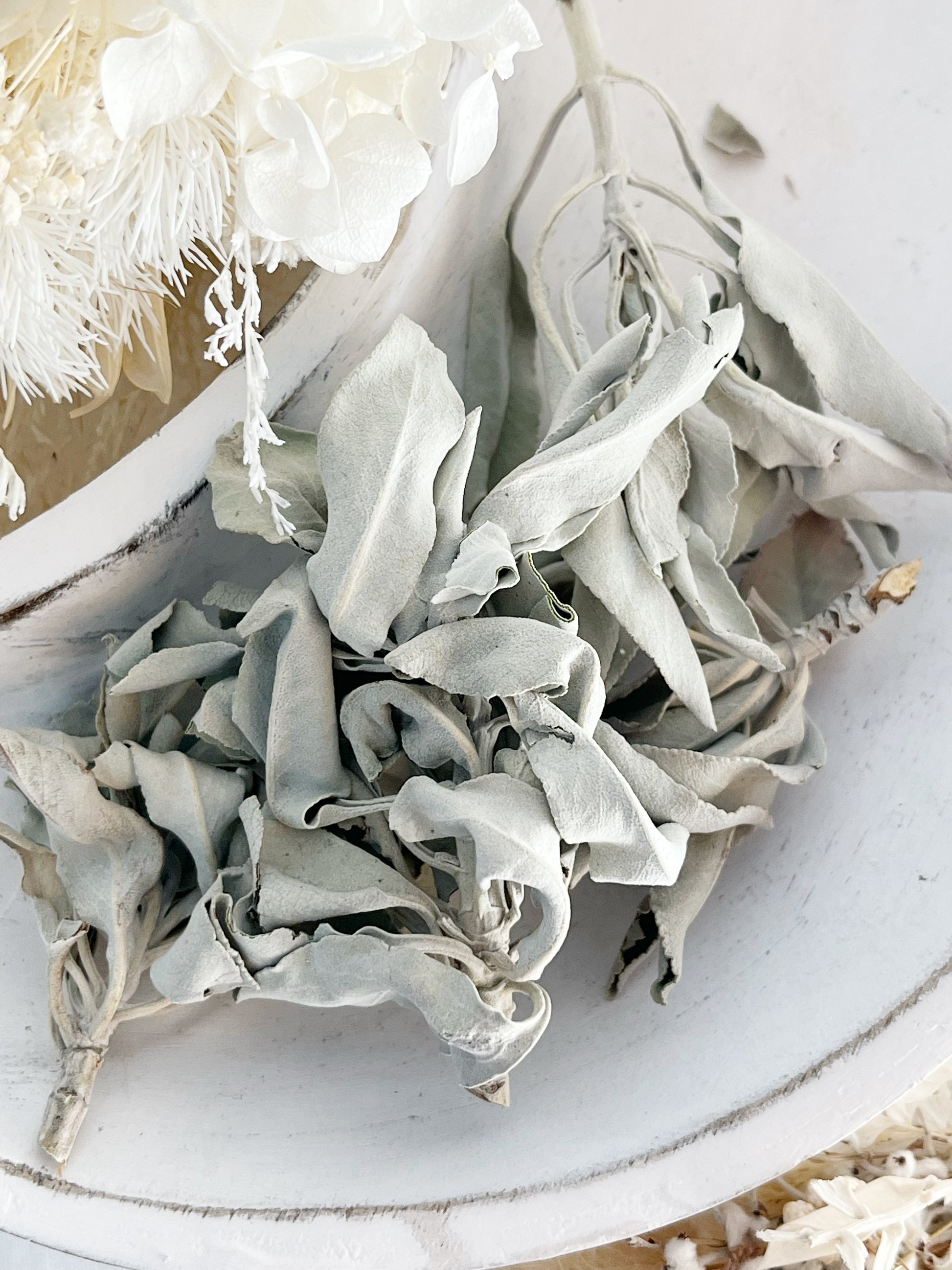 WHITE SAGE, LOOSE STEMS, STONED AND SAGED AUSTRALIA