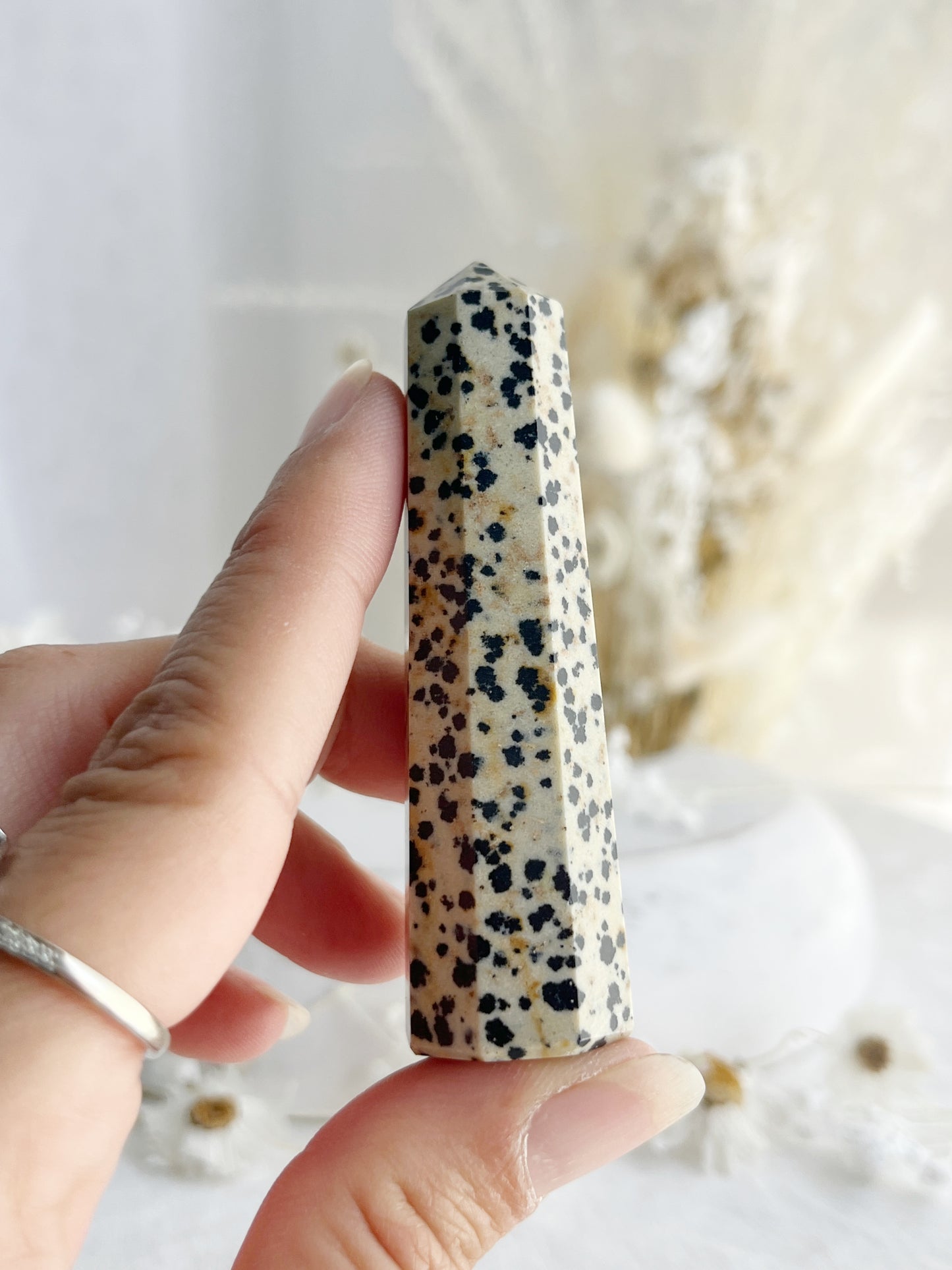 DALMATIAN JASPER GENERATOR. STONED AND SAGED AUSTRALIA.