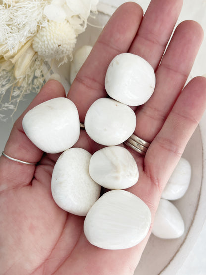 SCOLECITE TUMBLE