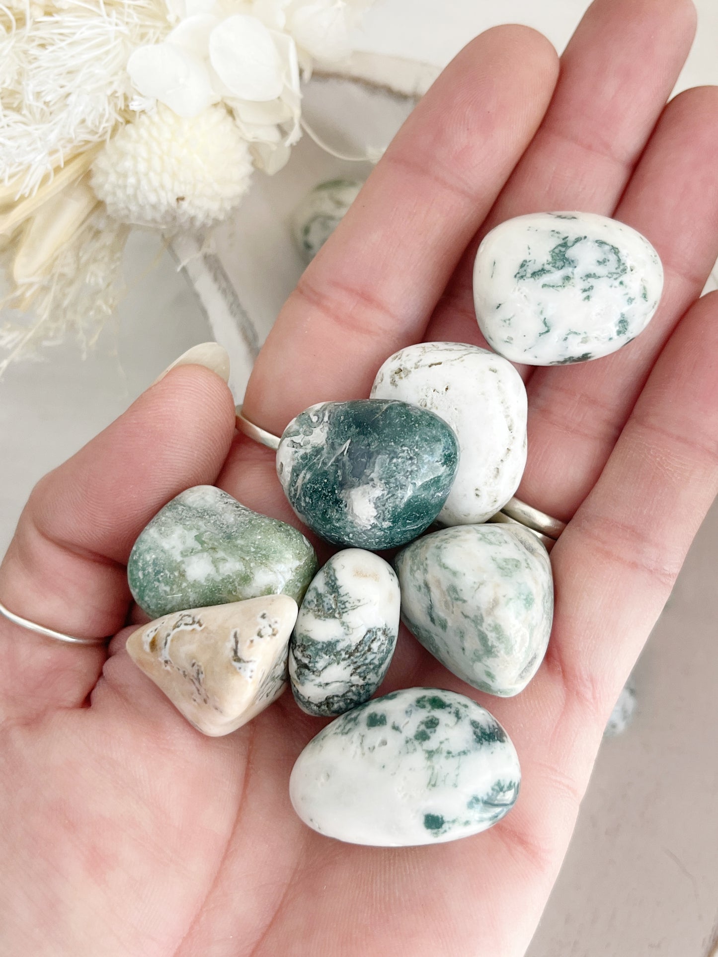 TREE AGATE TUMBLE