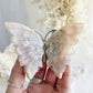 FLOWER AGATE BUTTERFLY || 31788