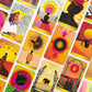 RADIANT WILDS TAROT DECK, AUSTRALIA STONED AND SAGED