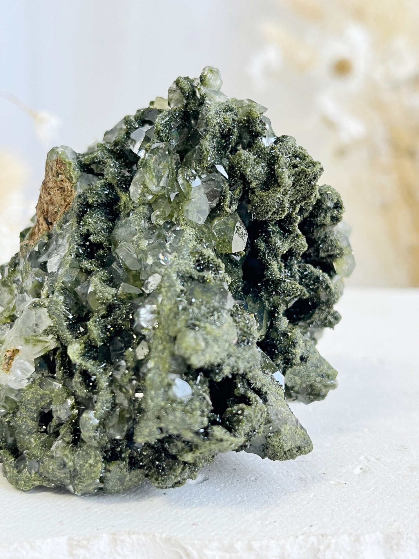 EPIDOTE WITH QUARTZ || 31424