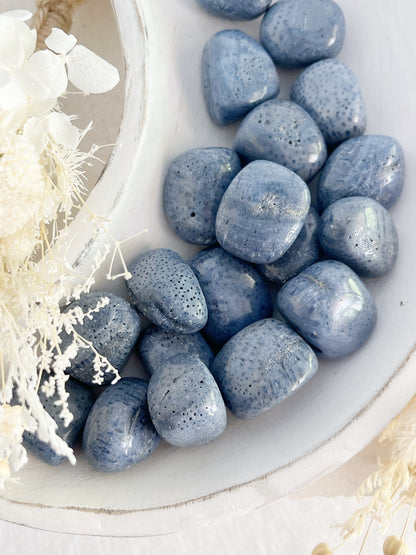 BLUE CORAL TUMBLE STONE AUSTRALIA