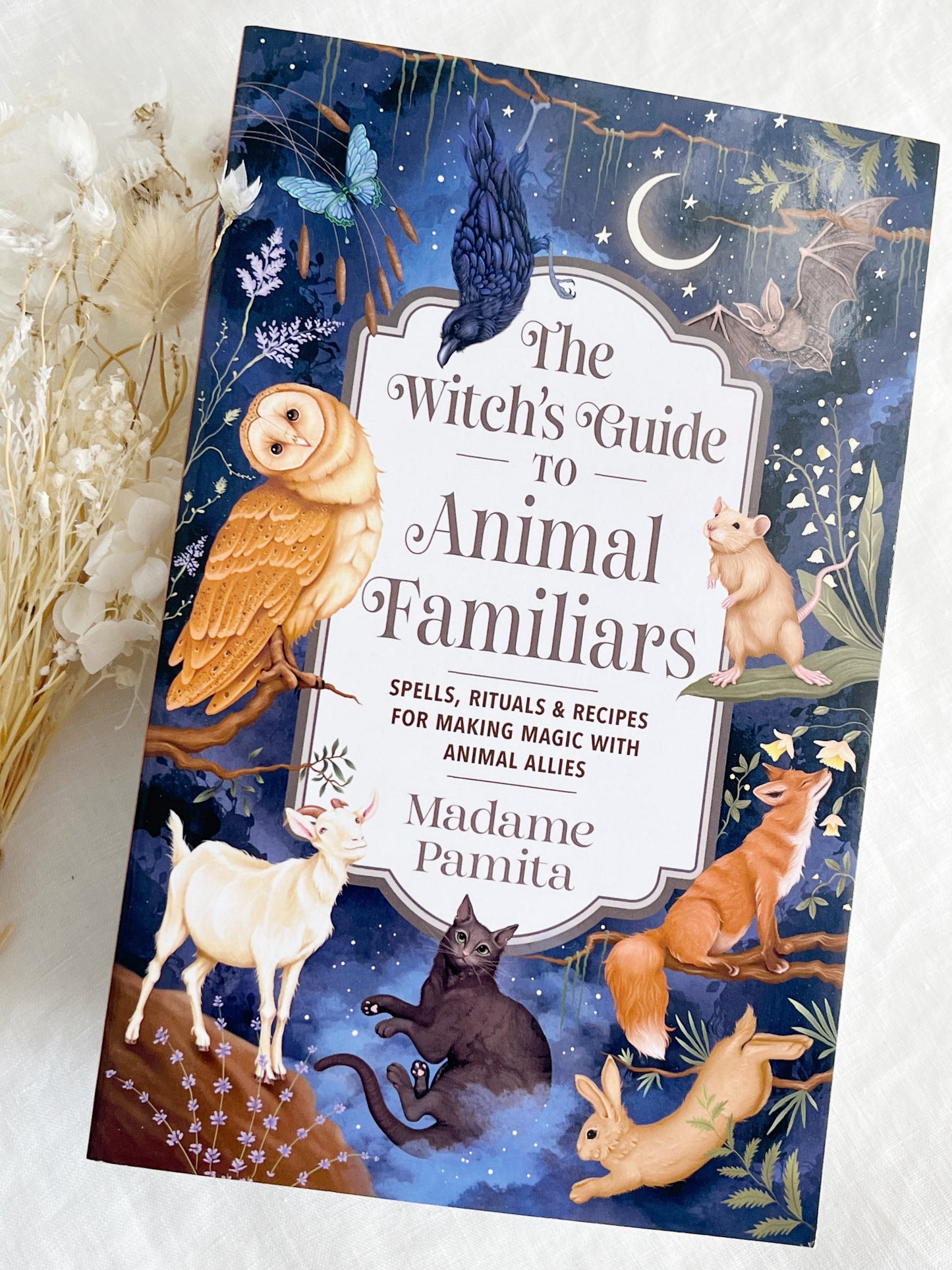 THE WITCHES GUIDE TO ANIMAL FAMILIARS  || MADAME PAMITA